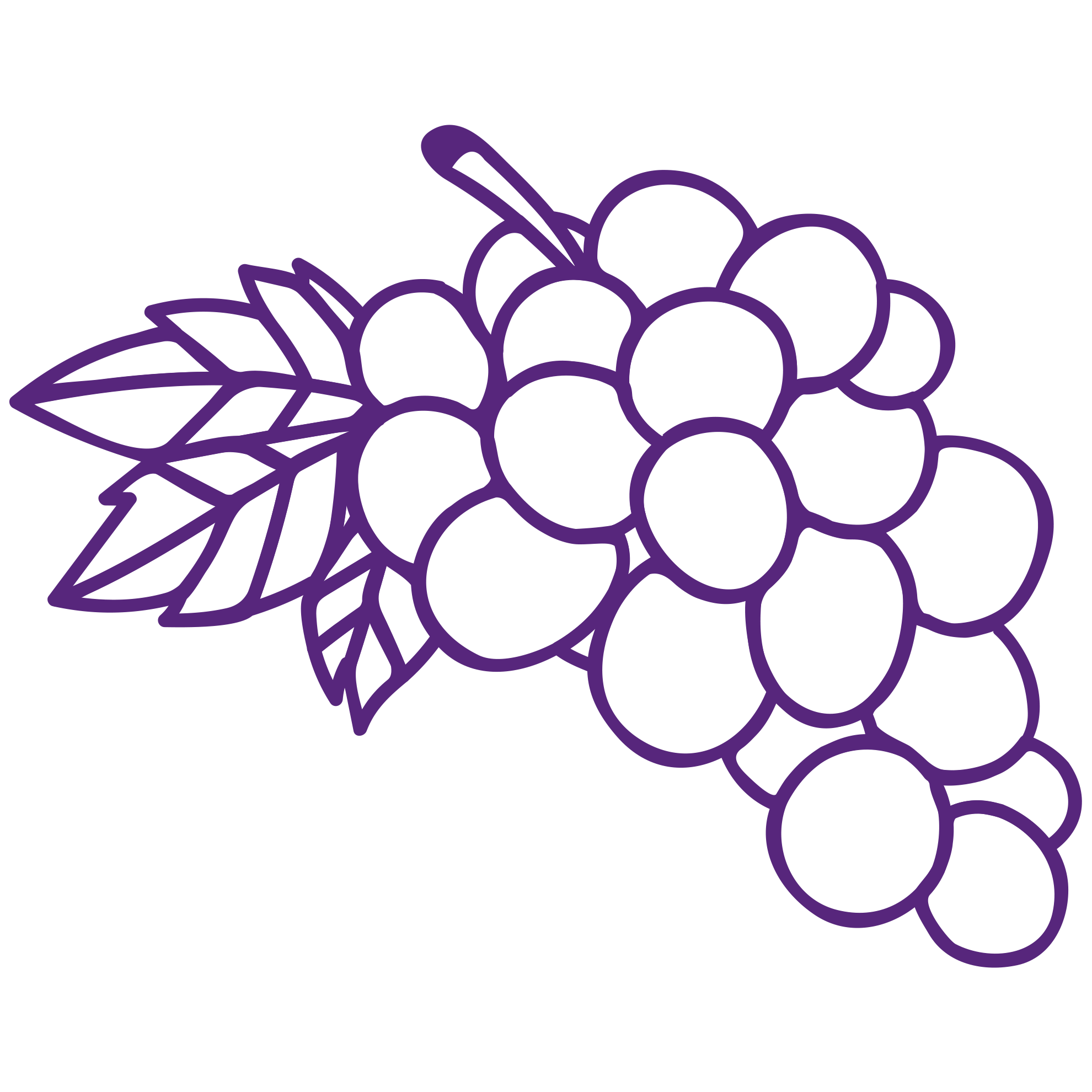 druiven-paars-outline (1)