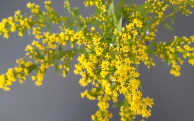 Goede voornemens en chronische ziekte.