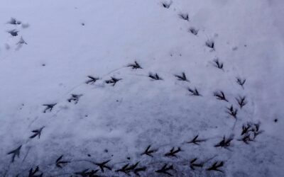 Gezonde gewoontes bij chronische ziekte in de winter